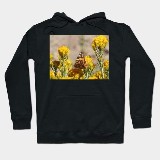 Butterfly, wildlife, insects, nature, gifts, Natures Grace Hoodie by sandyo2ly